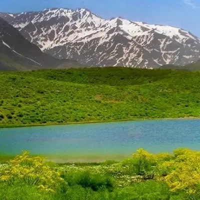 فروش باغ سیسخت یاسوج
