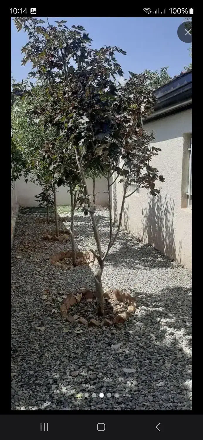 باغ ویلا کردان کوهسار شنده تهاتر