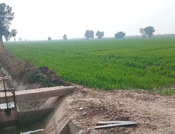 فروش ۵۰۰۰ متر زمین کشاورزی