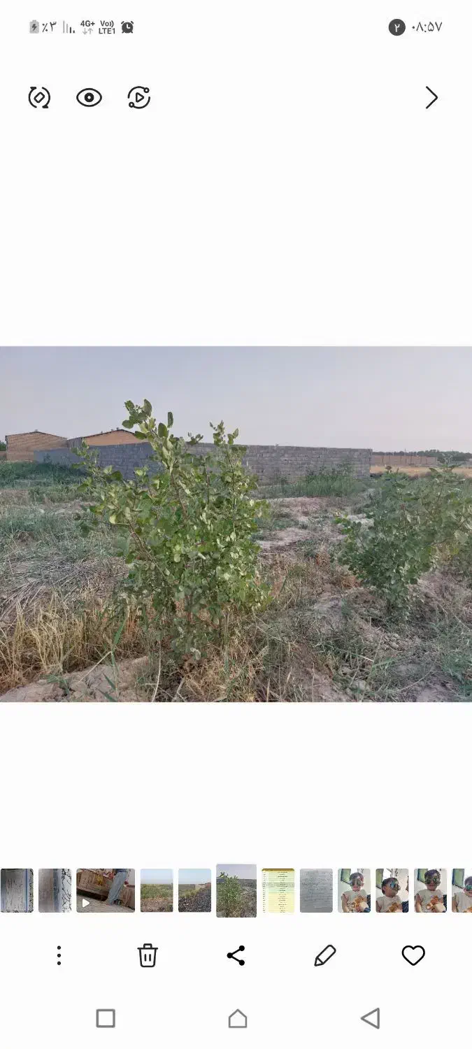 زمین باغچه