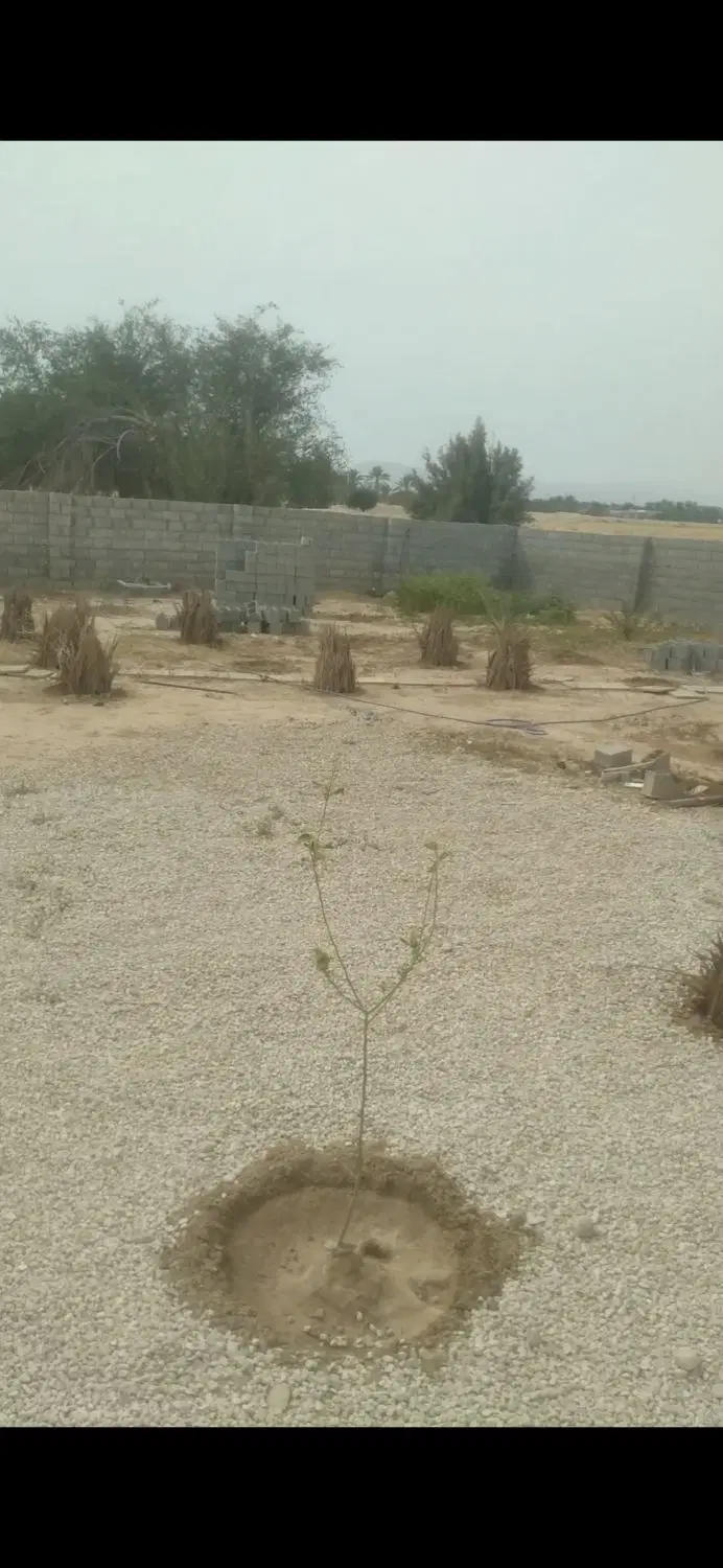 نیاز به 4هزار بلوک ته پر