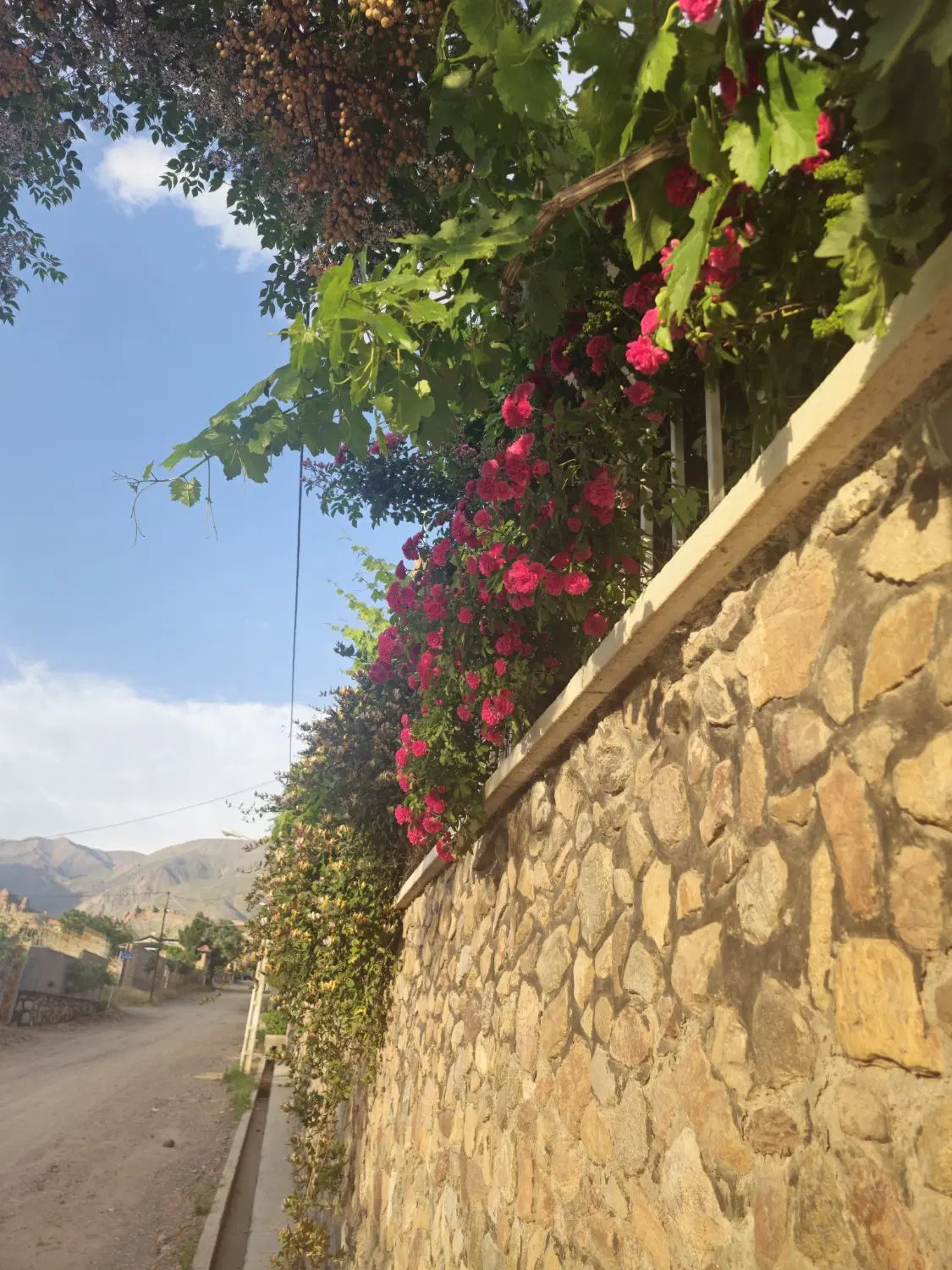 ۲۰۰۰ متر ویلا باغ باغرود سند تک برگ
