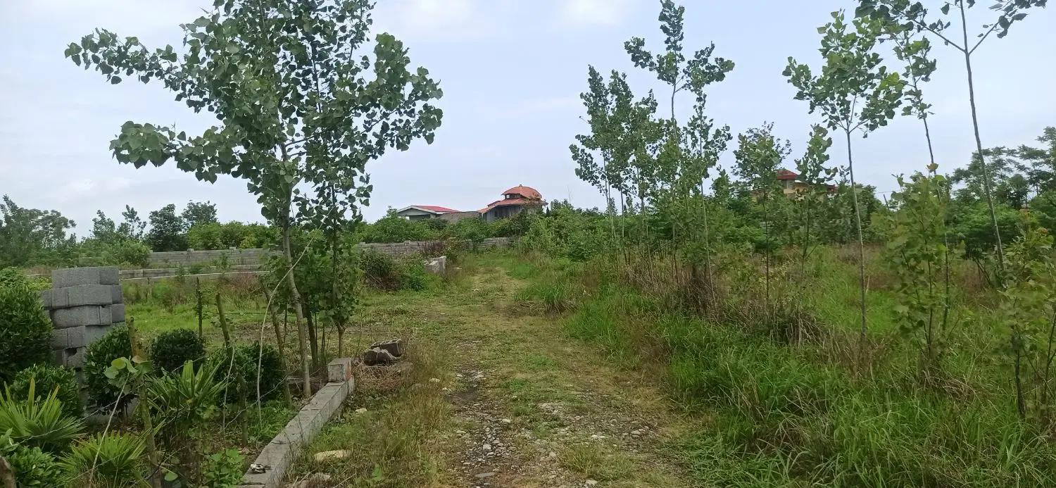 فروش زمین باغات
