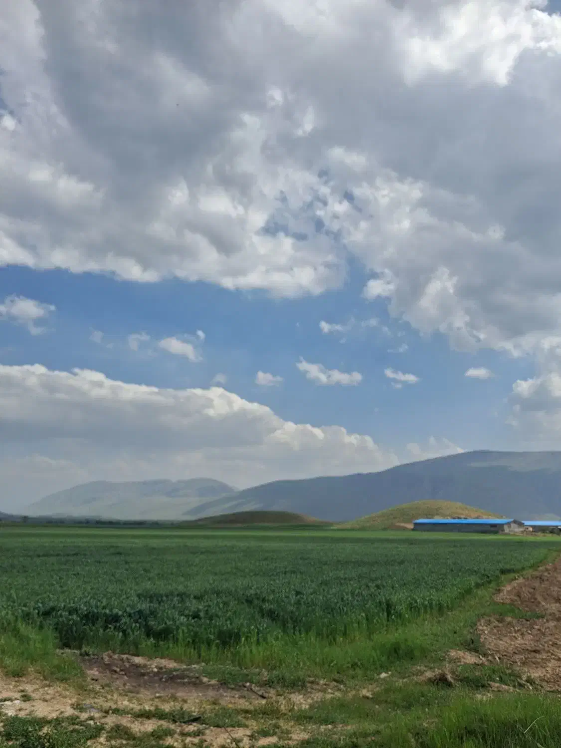 زمین کشاورزی ۵هکتار آبی و ۳ هکتار دیم