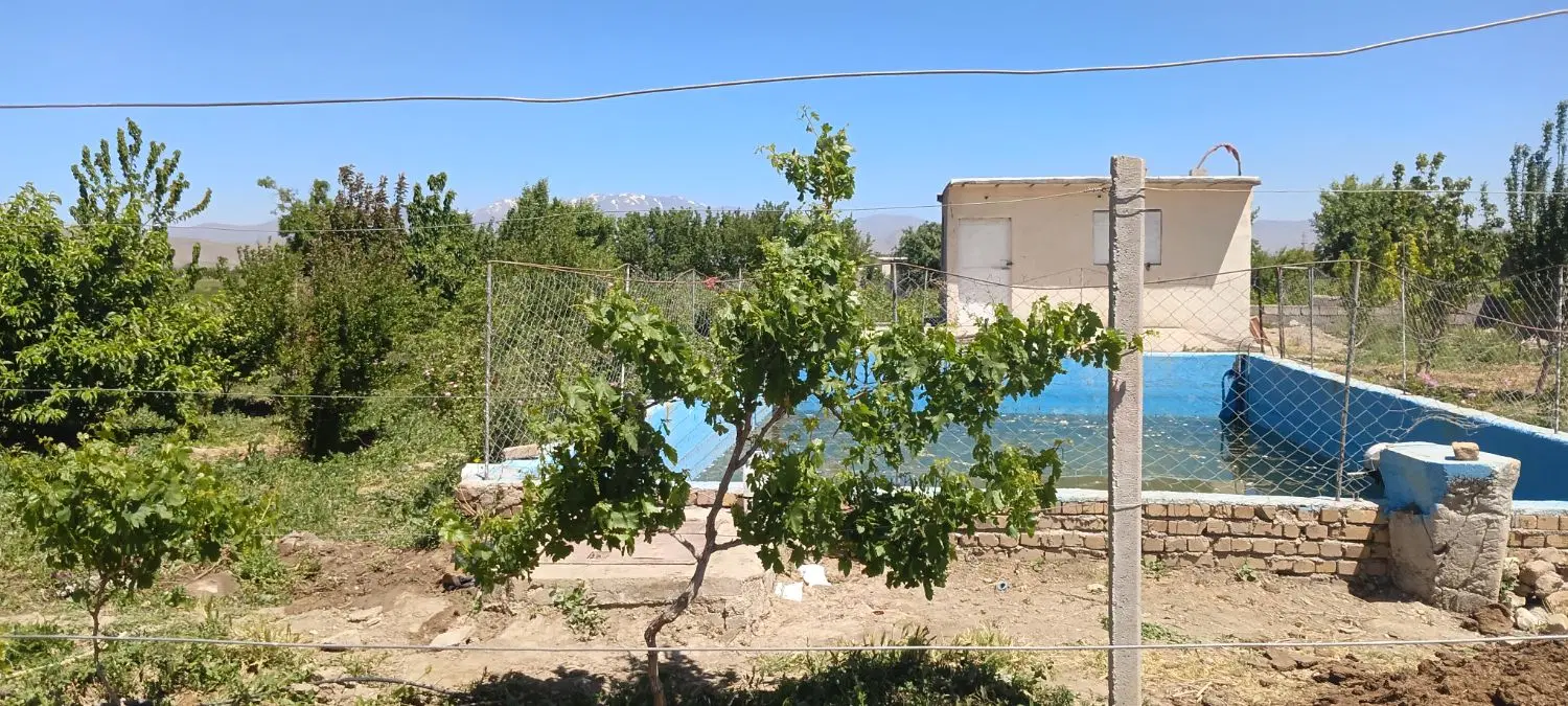 باغ ویلایی انگور درخت تفریحی