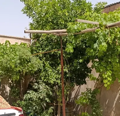 خانه ی ویلایی