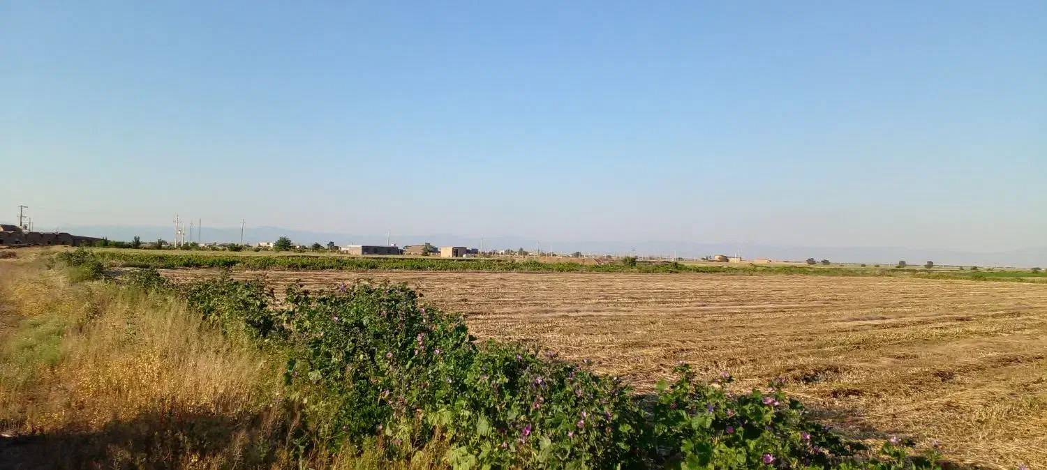 زمین کشاورزی و گلخانه