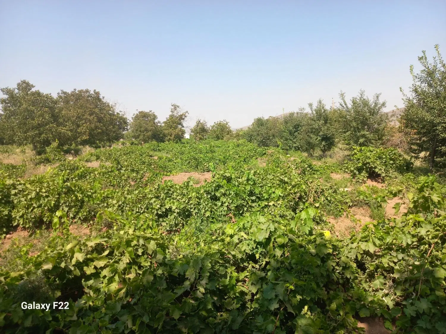 فروش آب باغ ۸ اینج بلوک ۱۳