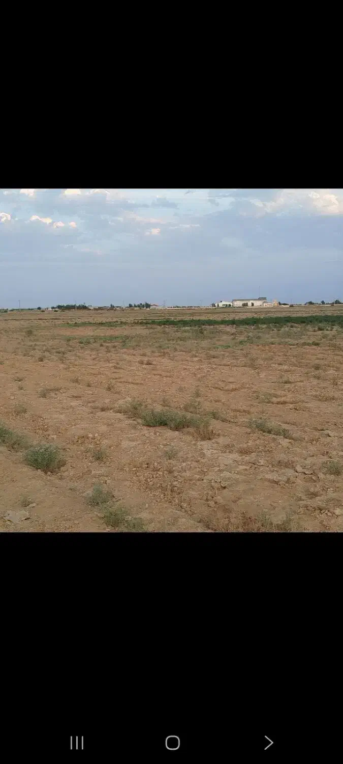 زمین کشاورزی