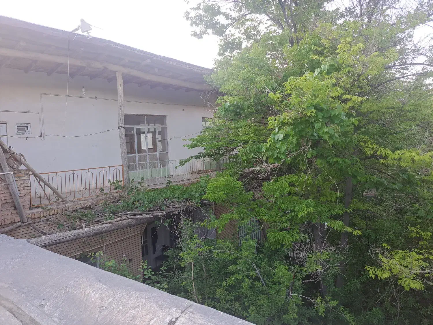باغ اجاره ای طزرجان