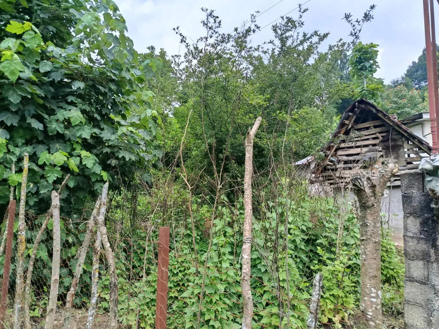 زمین ۲۲۰ متری