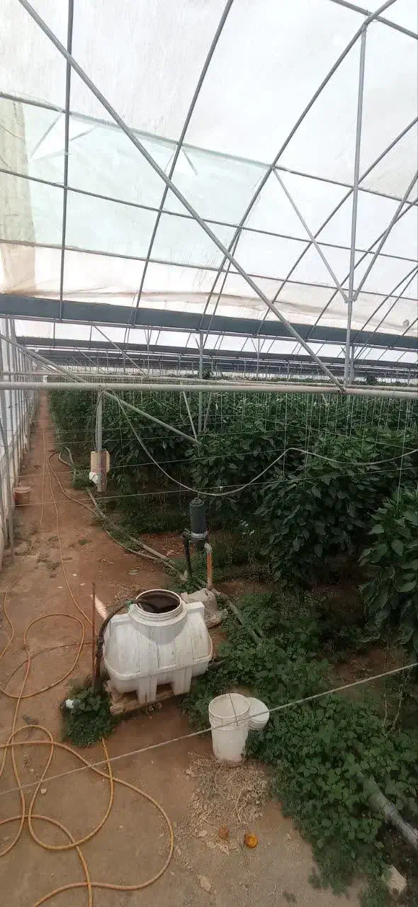 فروش گلخانه در اراک
