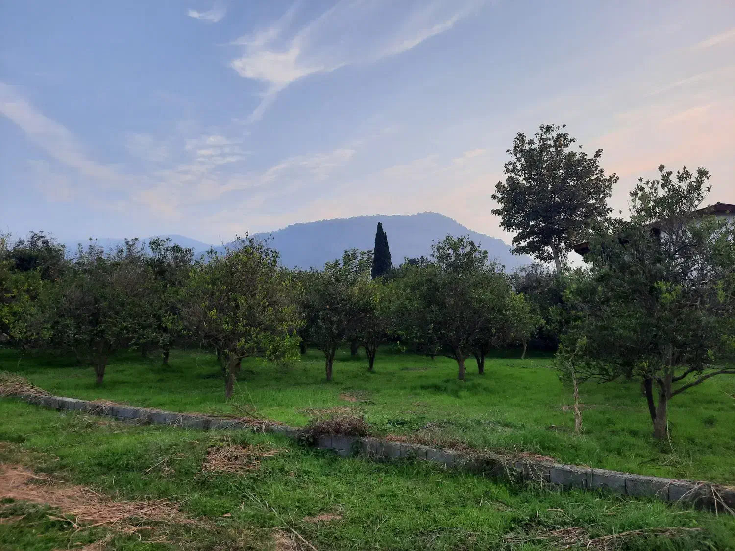 زمین مناسب سرمایه گذاری