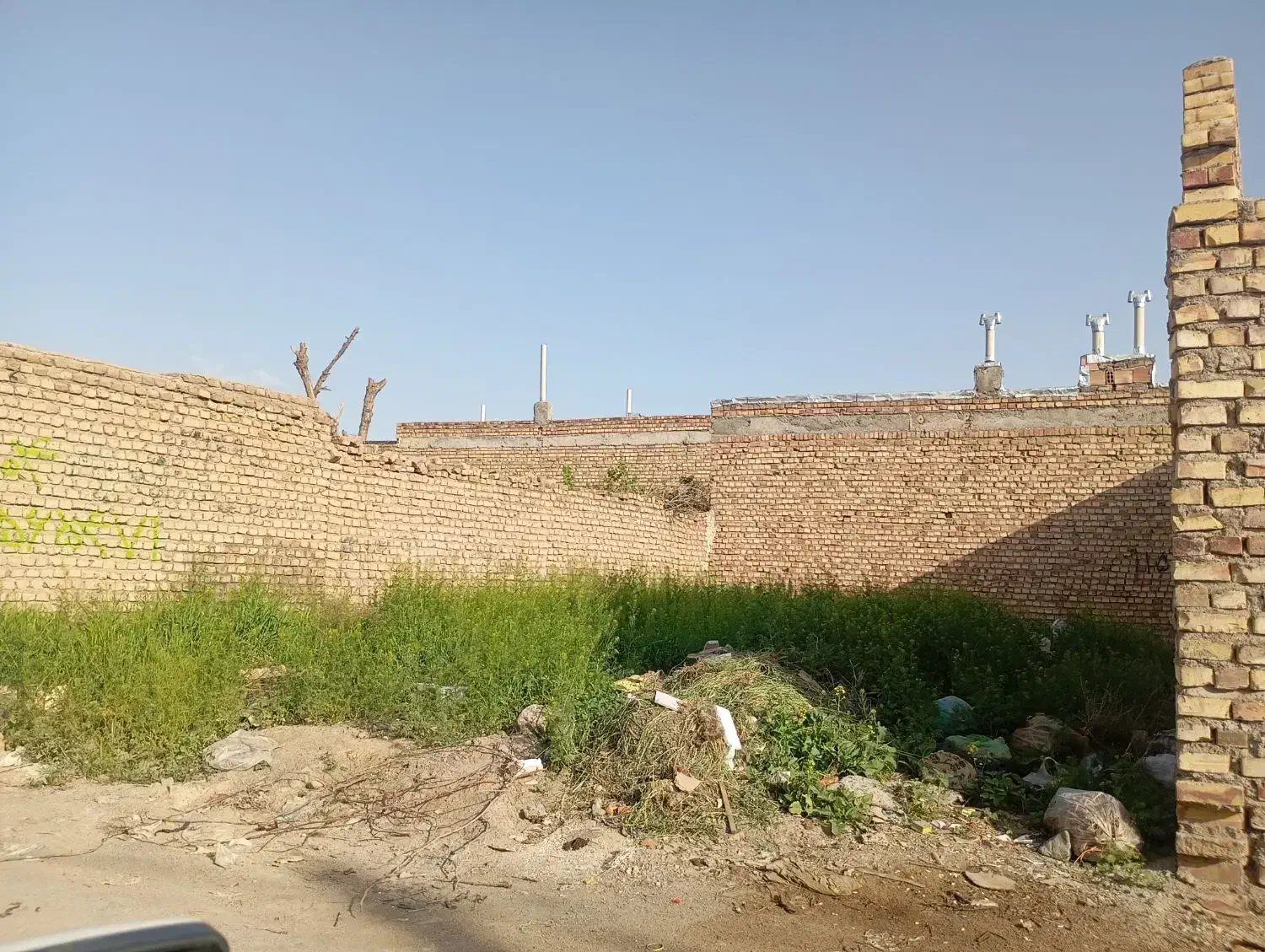 سلام زمین در فیض آباد
