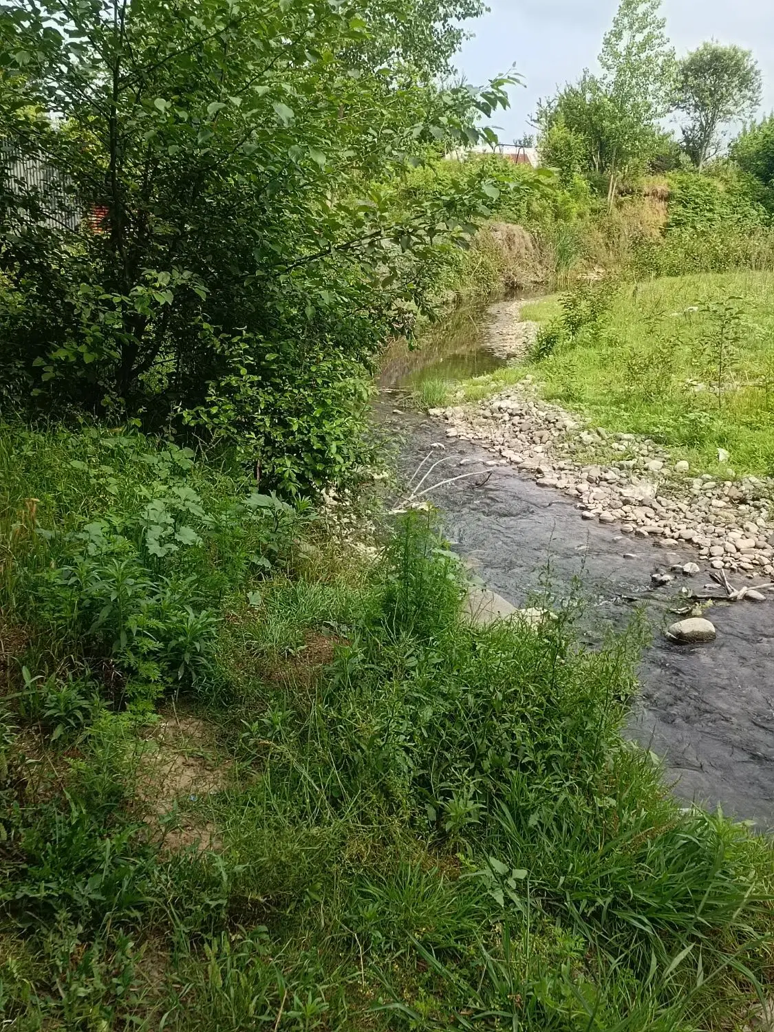 ۸۲۴ متر زمین در رضوانشهر گیلان