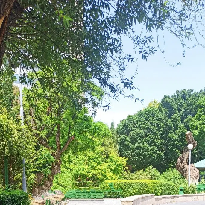 زمین مخصوص باغ سفره خانه