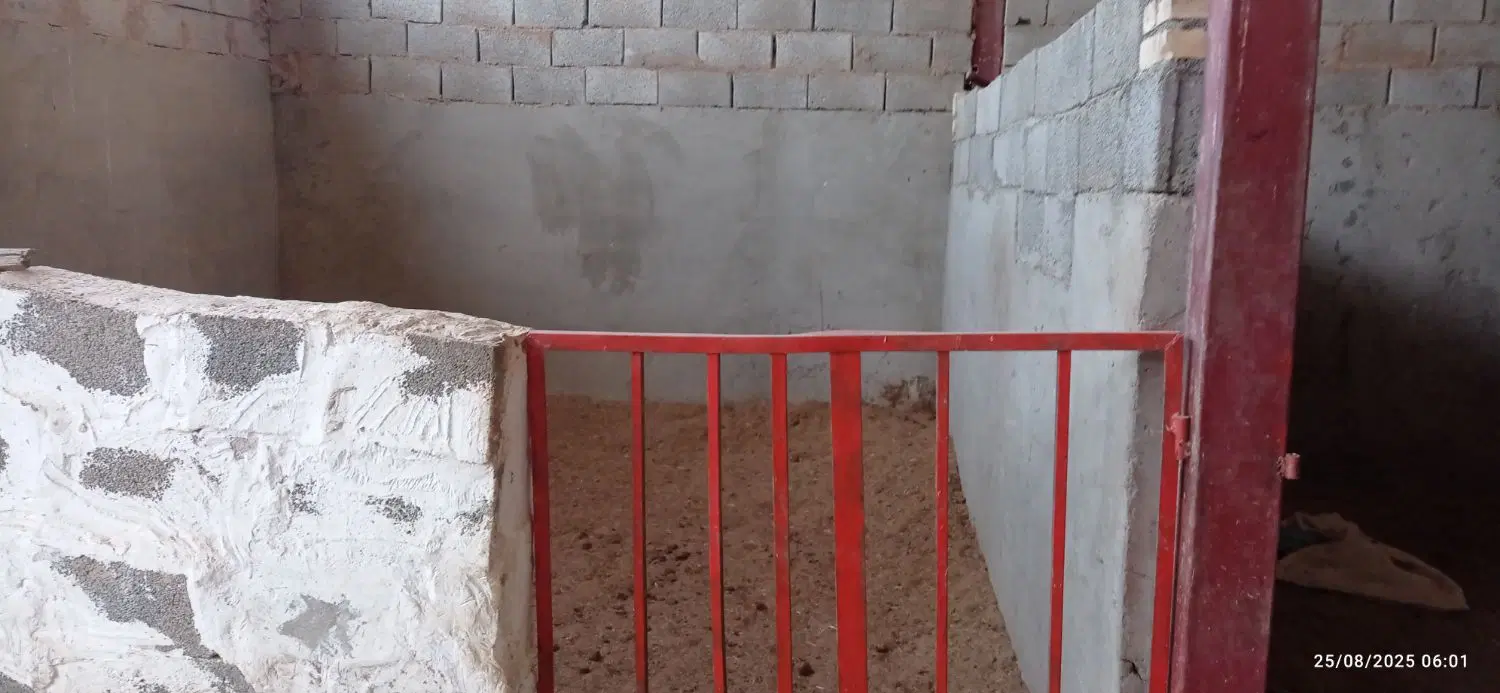 دامداری استبل