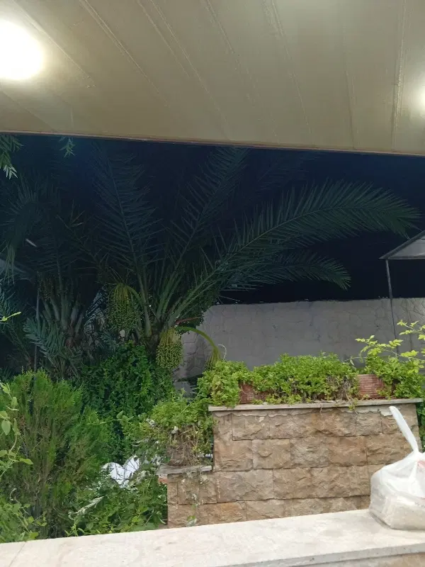 زیرزمین تجاری