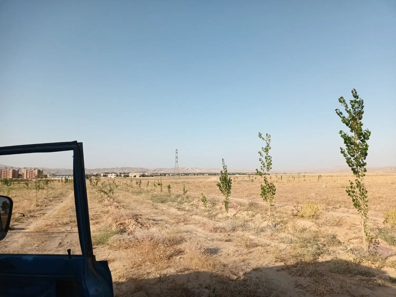 فروش باغ نهال میوه ۴ ساله