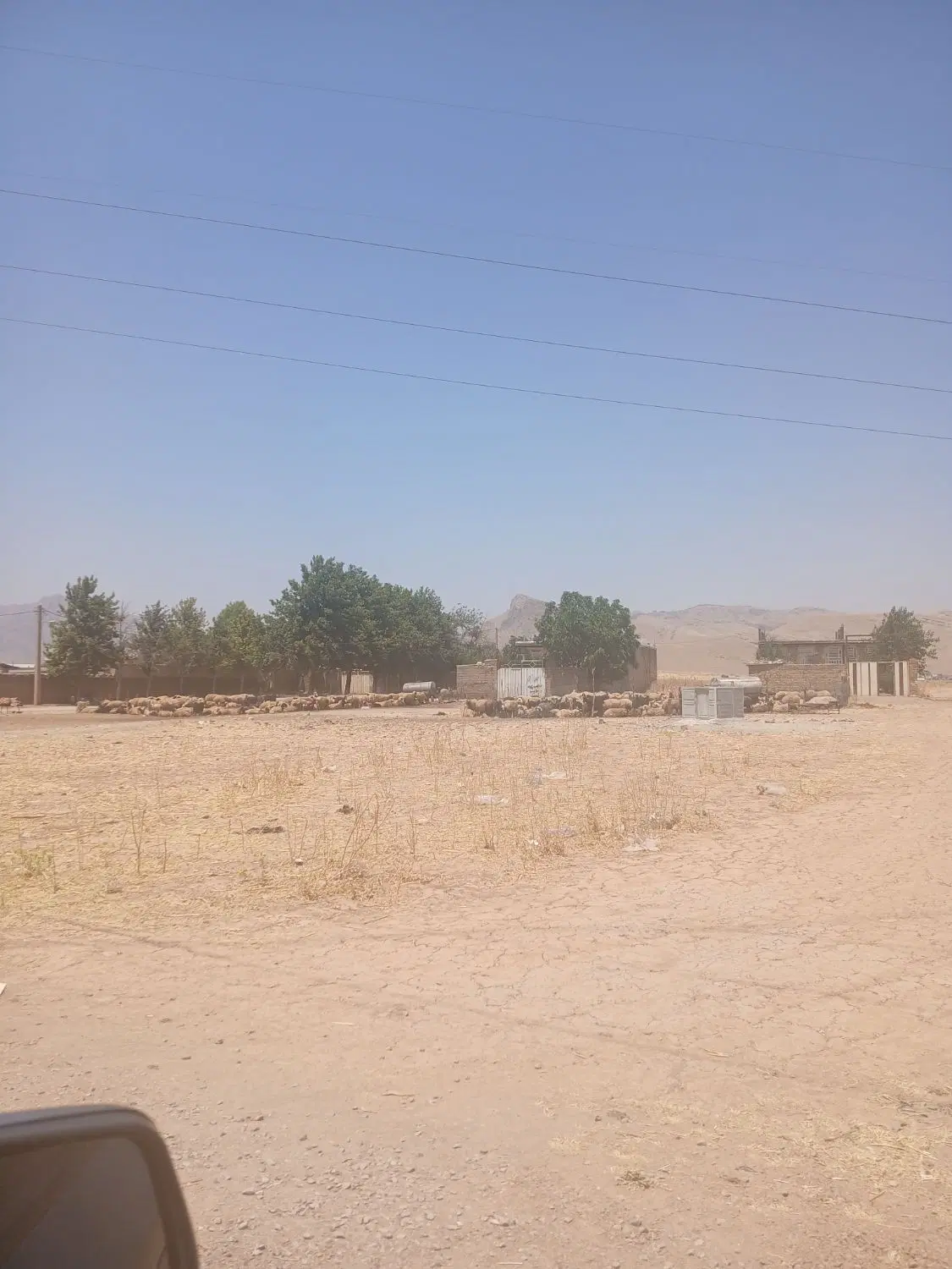 باسلام زمین روستایی دارایی پاسارگاد ۱۵