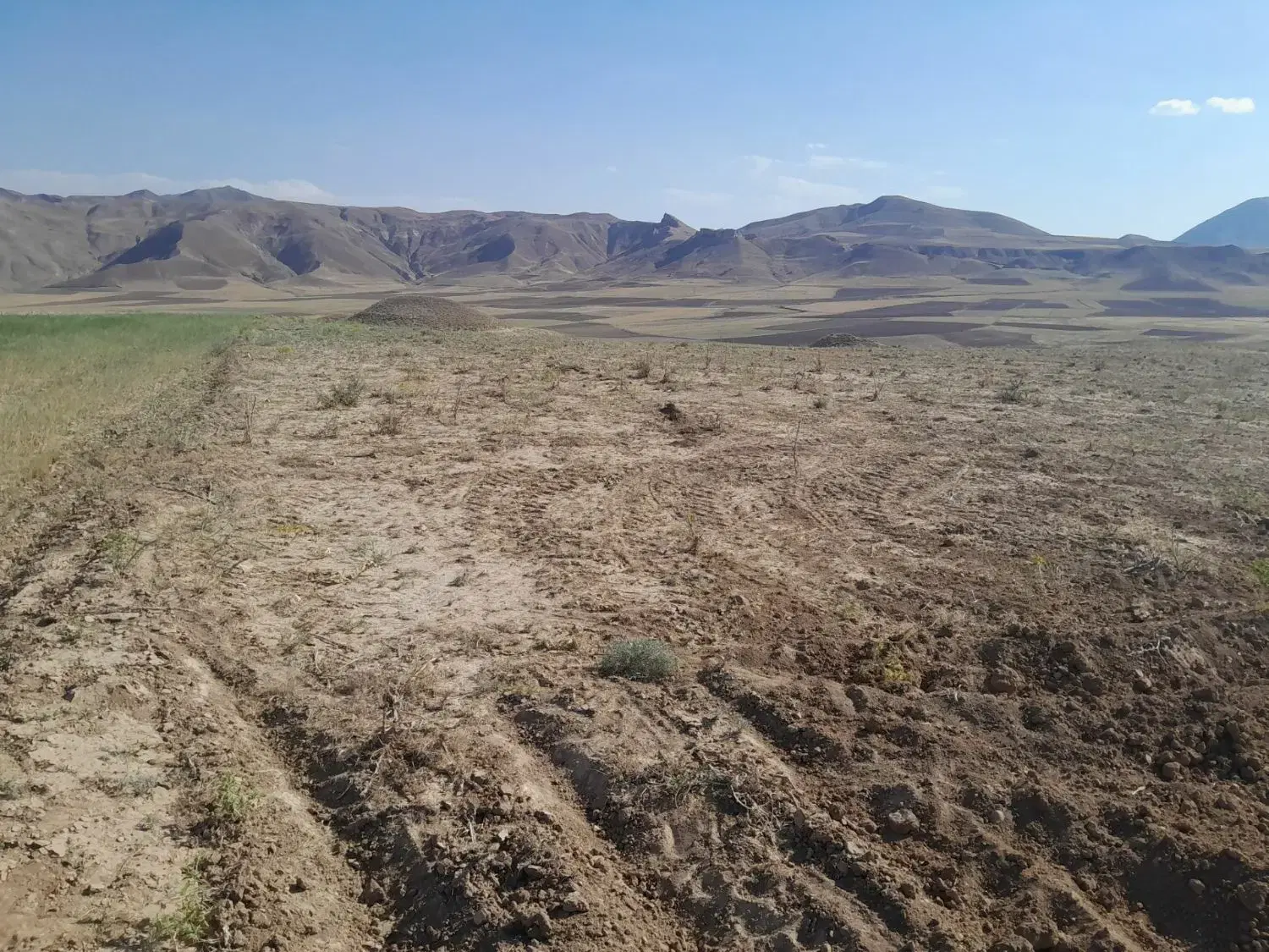 زمین دئمی متراژ 6 هزار متر داش اسپیران