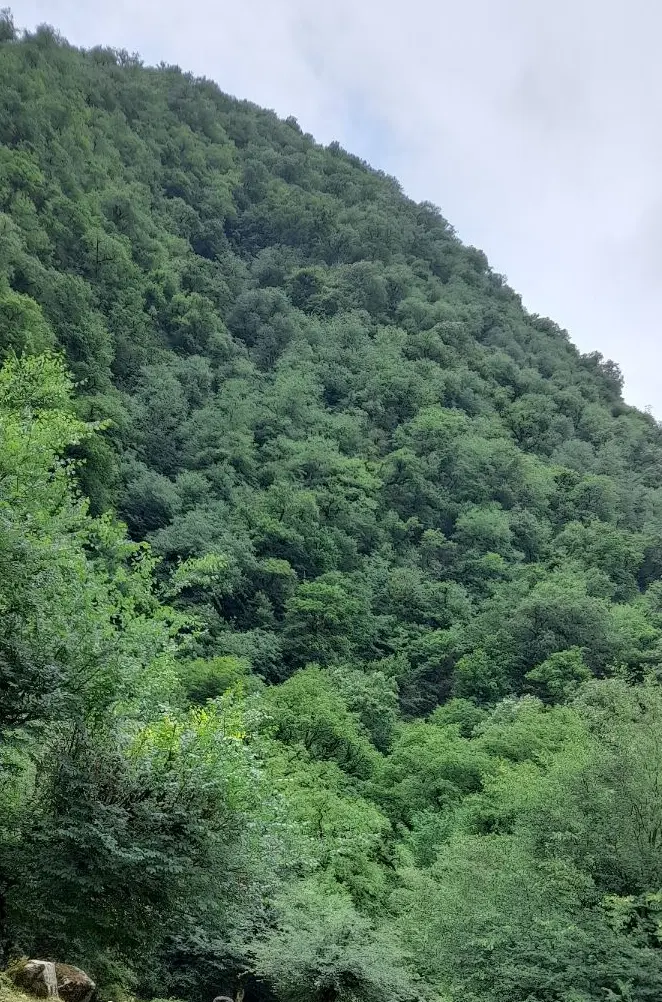 نگهبانی باغ ویلا و خانه روستایی