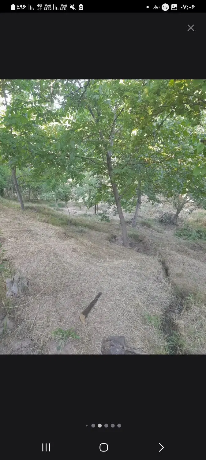 فروش باغ در روستای بادامیار