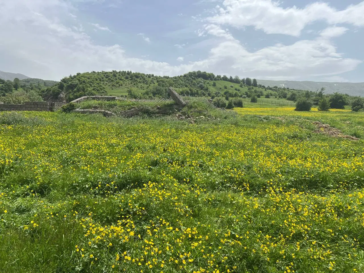۵۰۰ متر زمین شمال گیلان