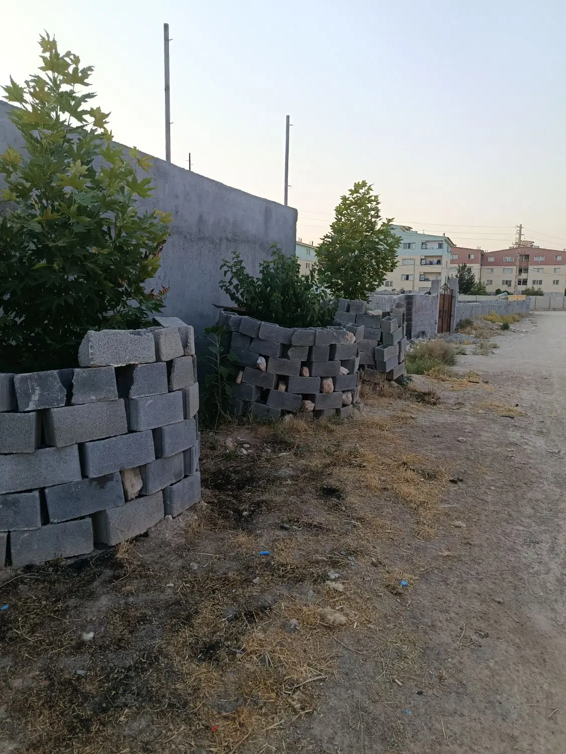 زمین