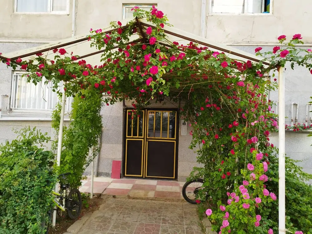 فروش آپارتمان