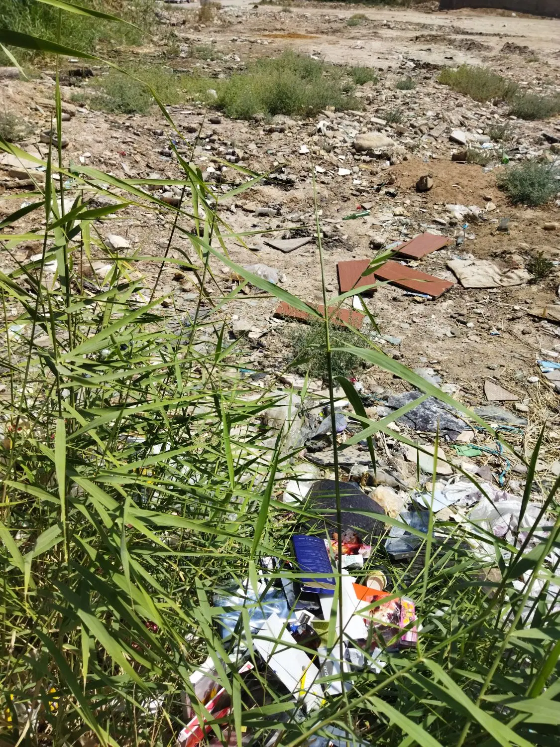 یک قطعه زمین