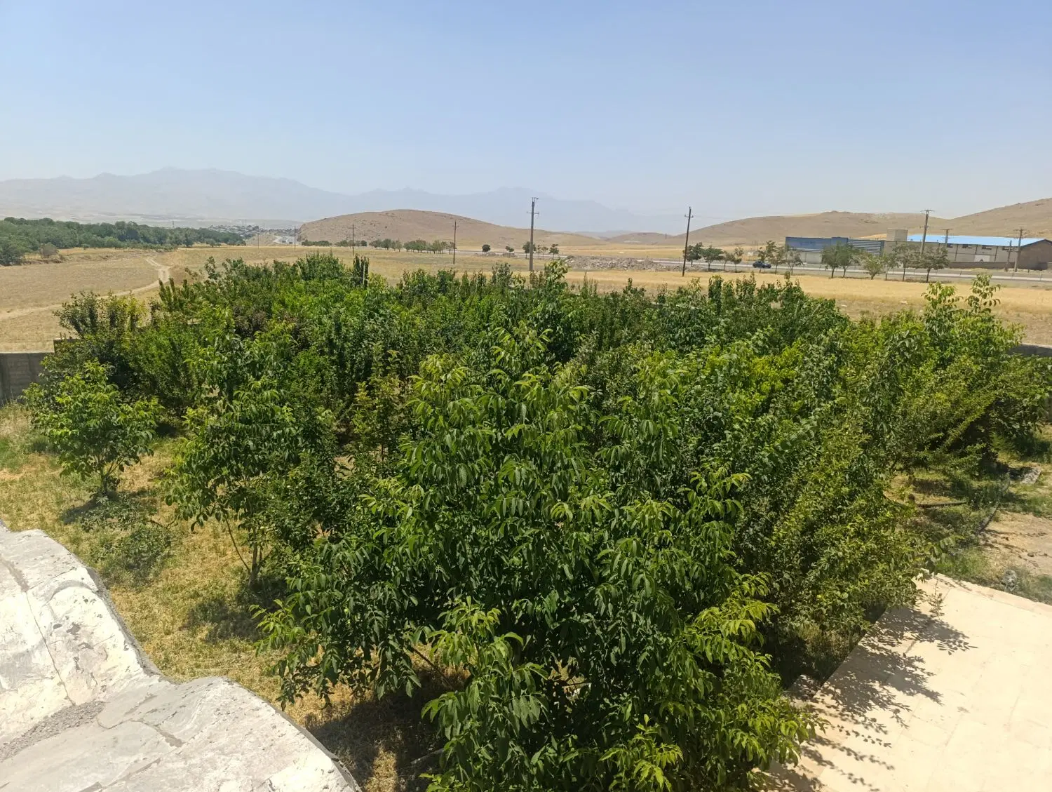 فروش باغ و بنا و زمین