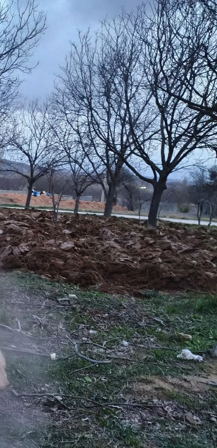 زمین جهت ساخت باغ