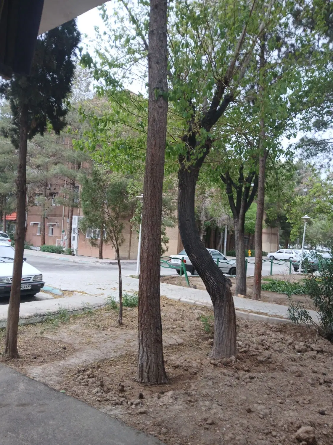 اجاره ۵۰ متری در خانه اصفهان