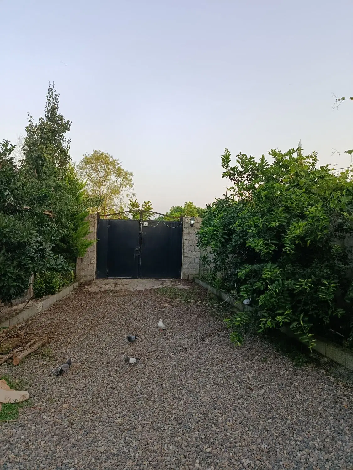 باغ ویلای سوئیسی