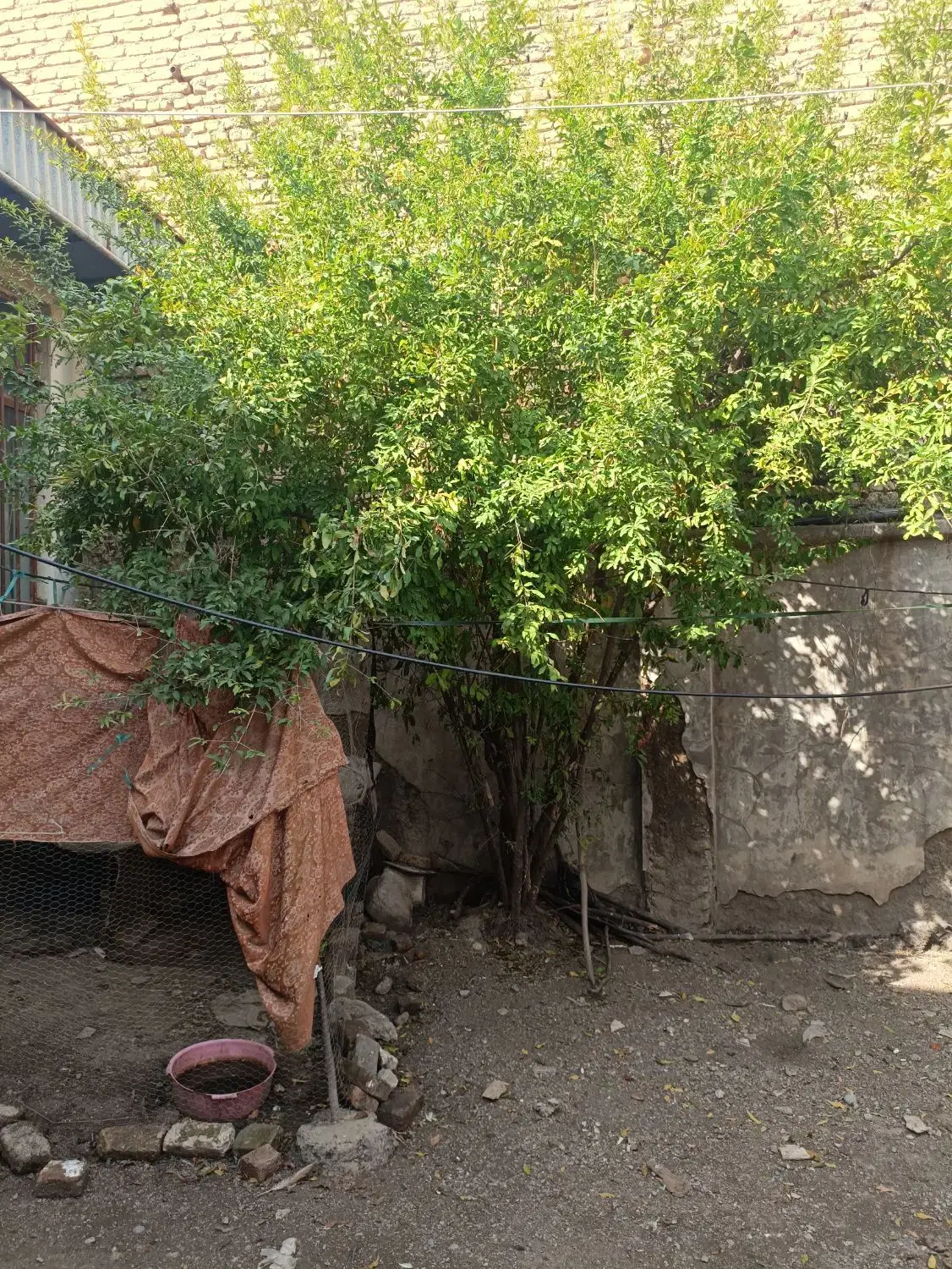 خانه ویلایی قدیمی