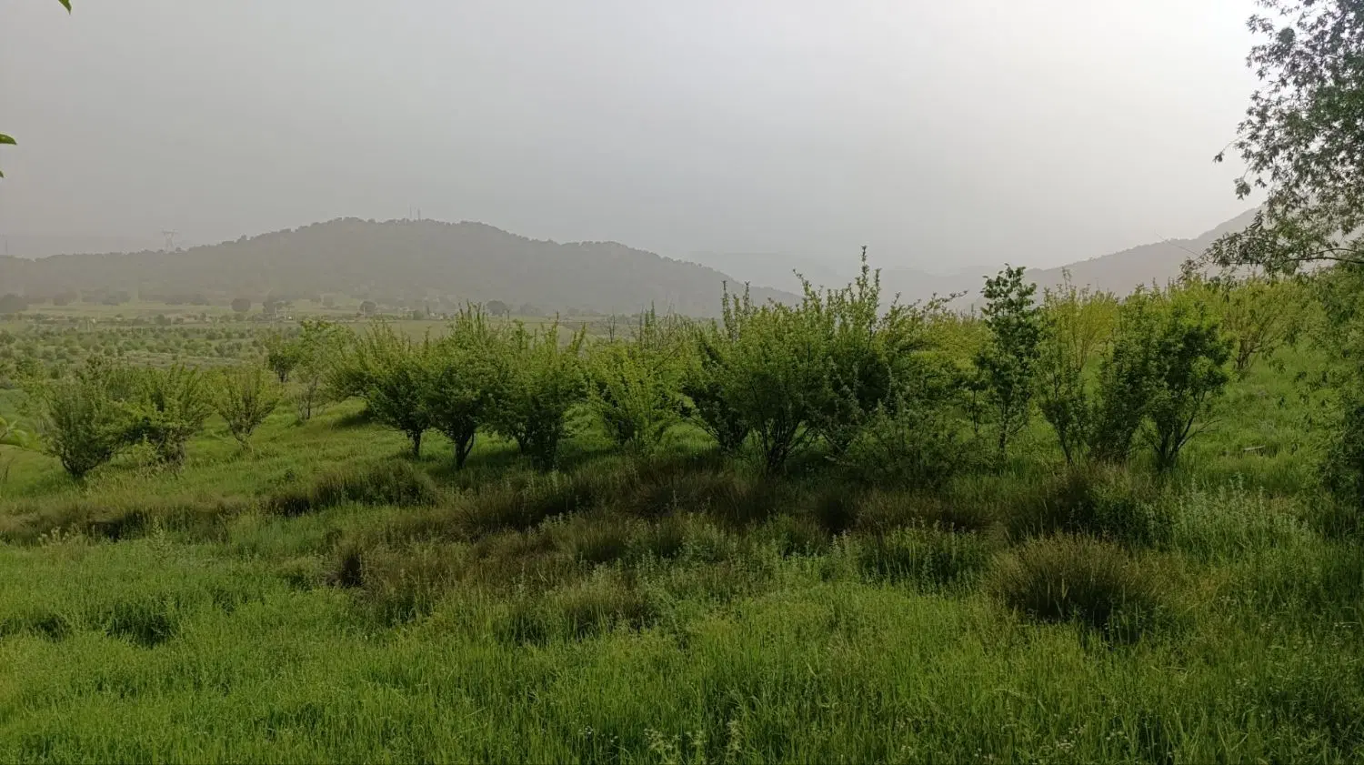 زمین فیروزاباد
