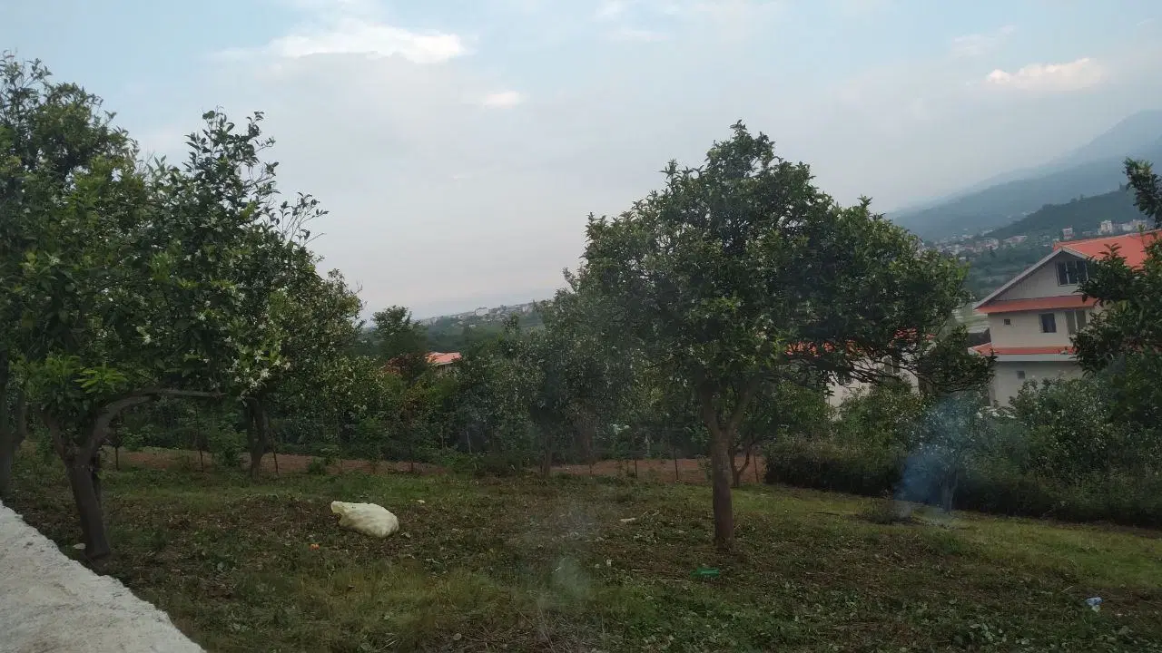 ۳۷۰ متر زمین بیجارگاه