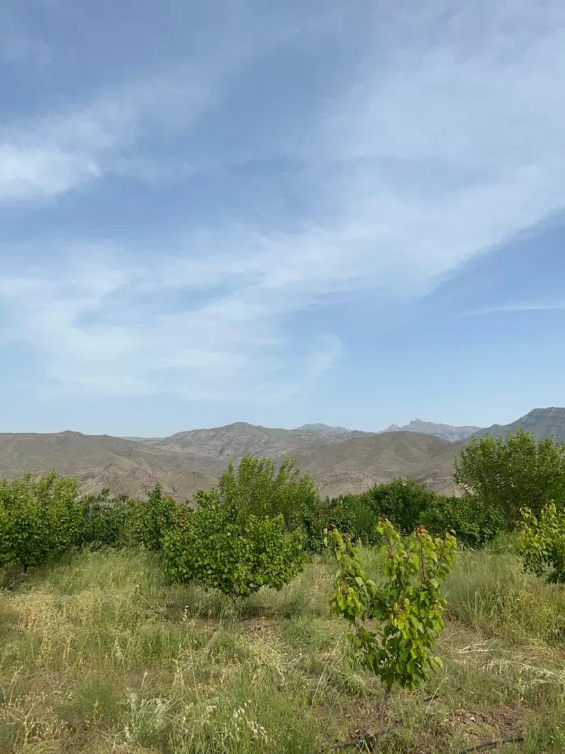 زمین فروشی