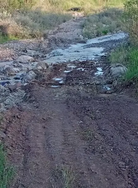 باغ