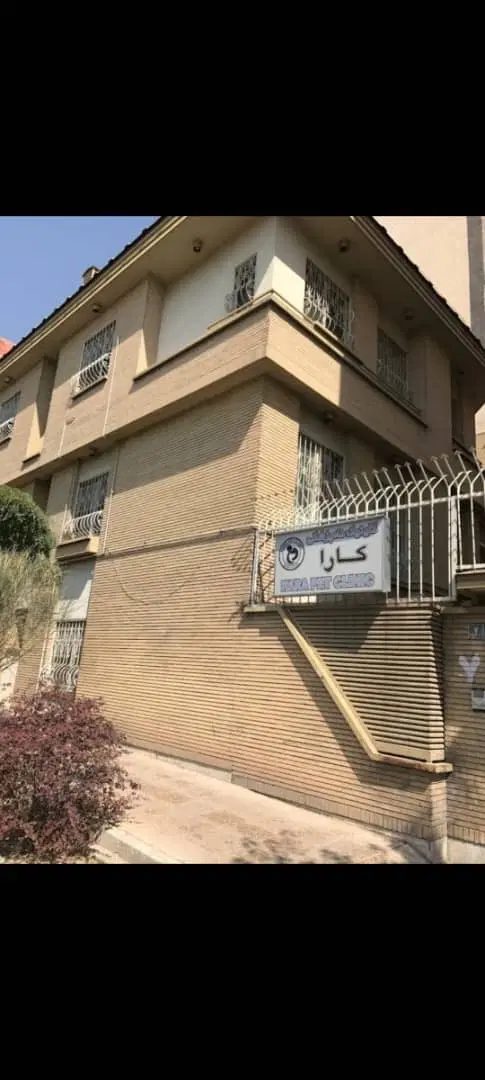 تنها ملک بر شاهین جنوبی، ۲۱۰ متر زمین، ۳طبقه