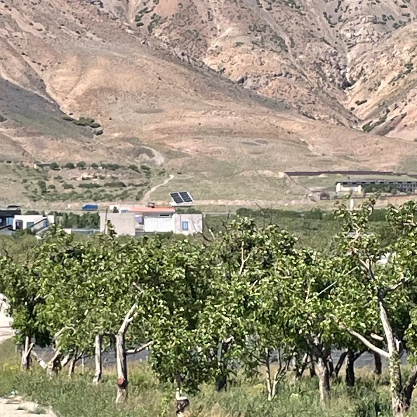 ۳۳۰متر باغچه جابان سند تک برگ اب برق گاز کنتور