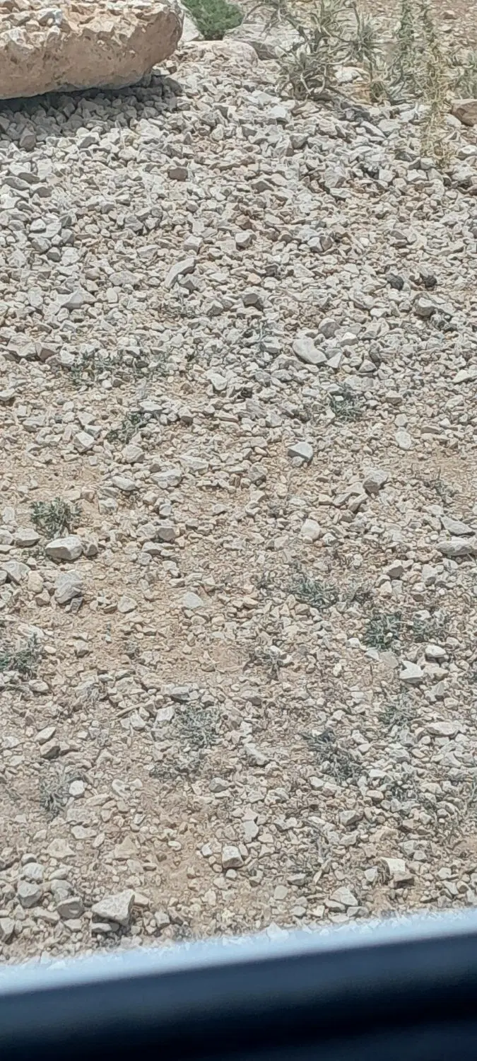 زمین دهبر