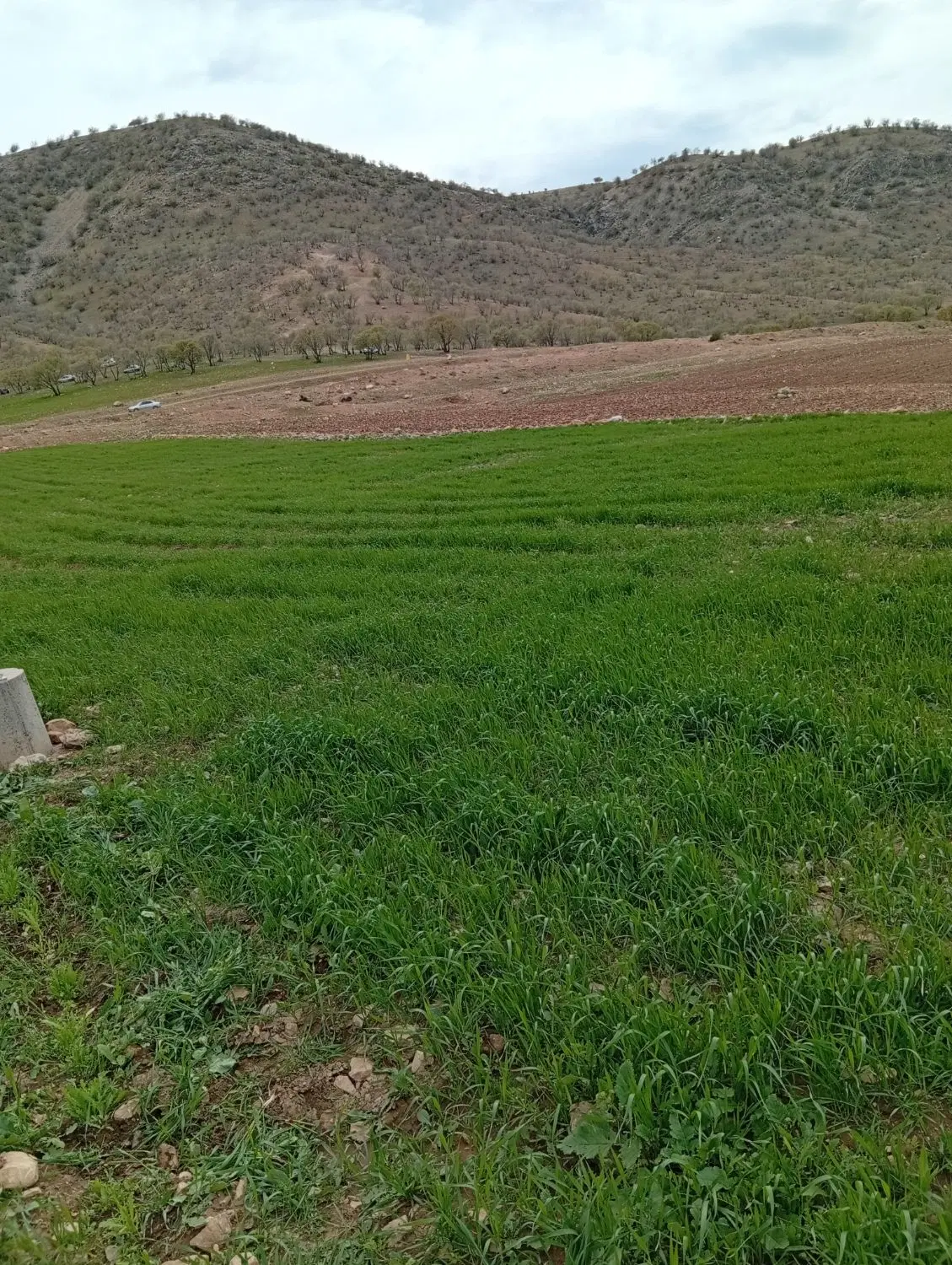 زمین سهیل بیگی