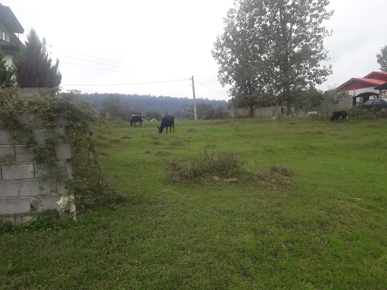 زمین کشاورزی