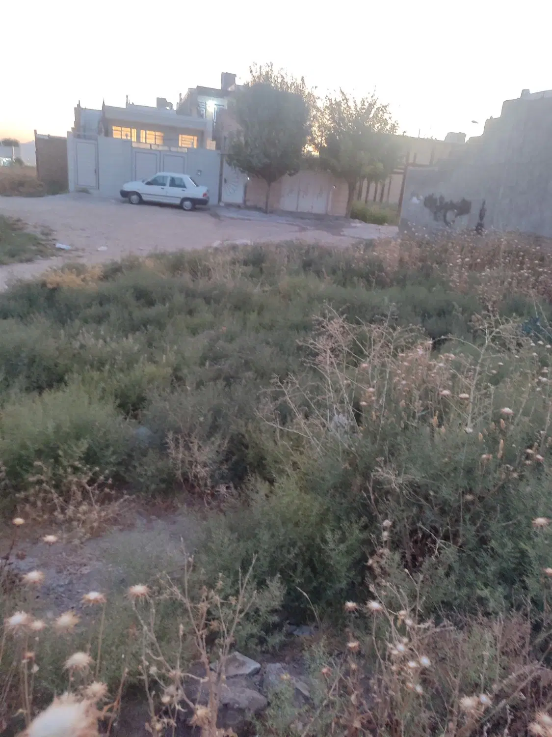 زمین مسکونی ساحل شش