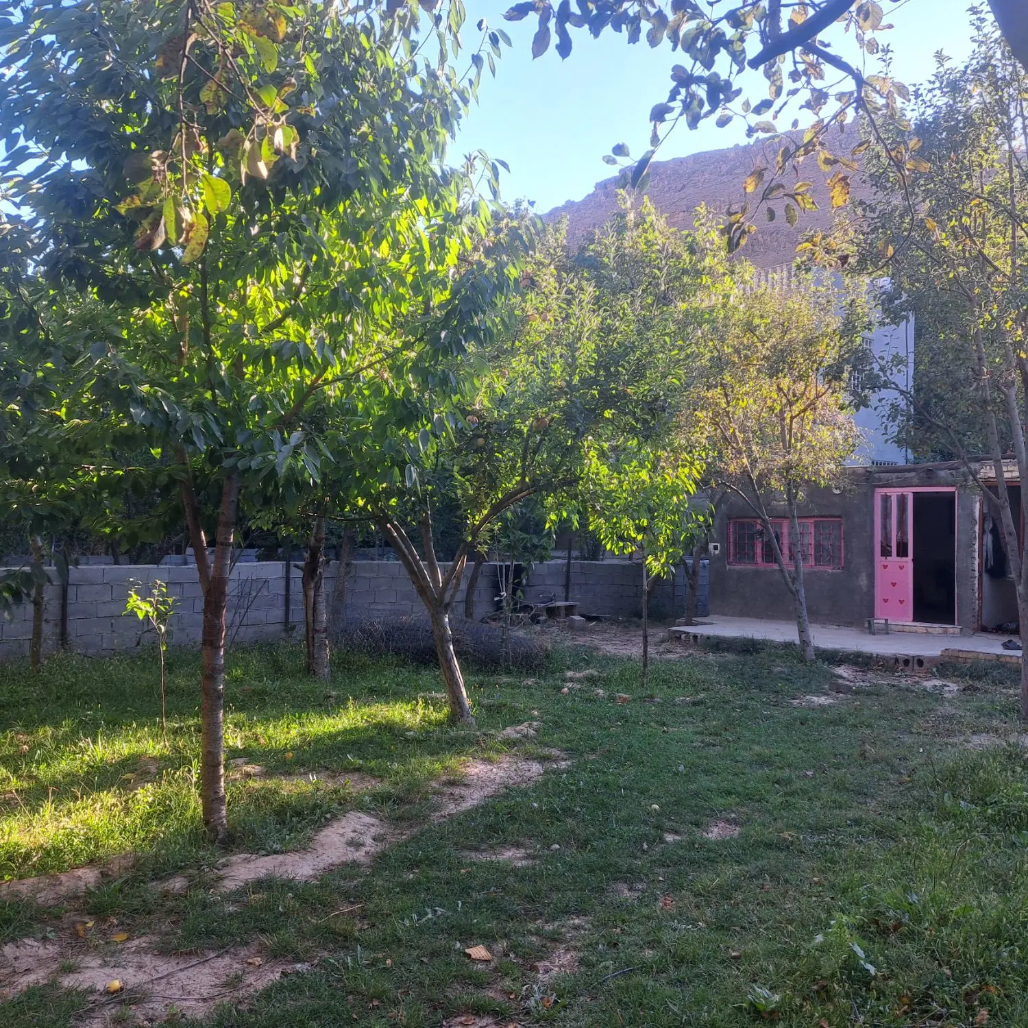 باغچه فروشی سد کارده روستای آل