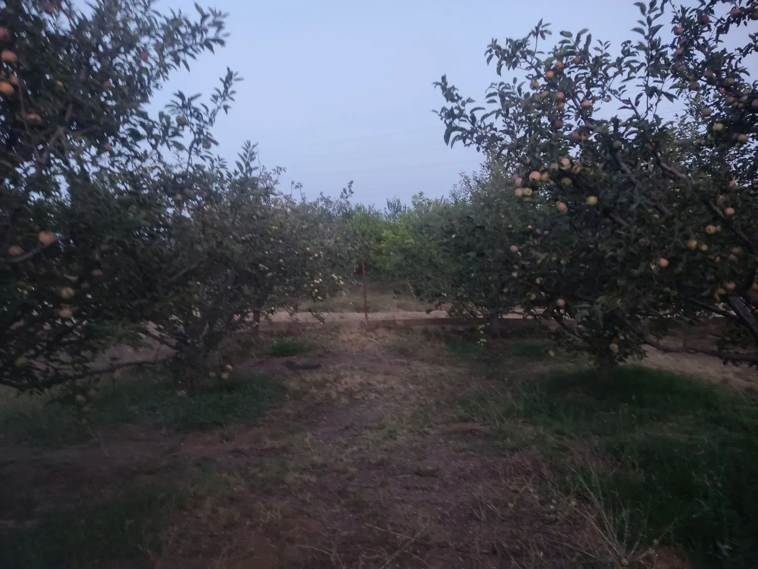 فروش باغ روستای یاغبستلو