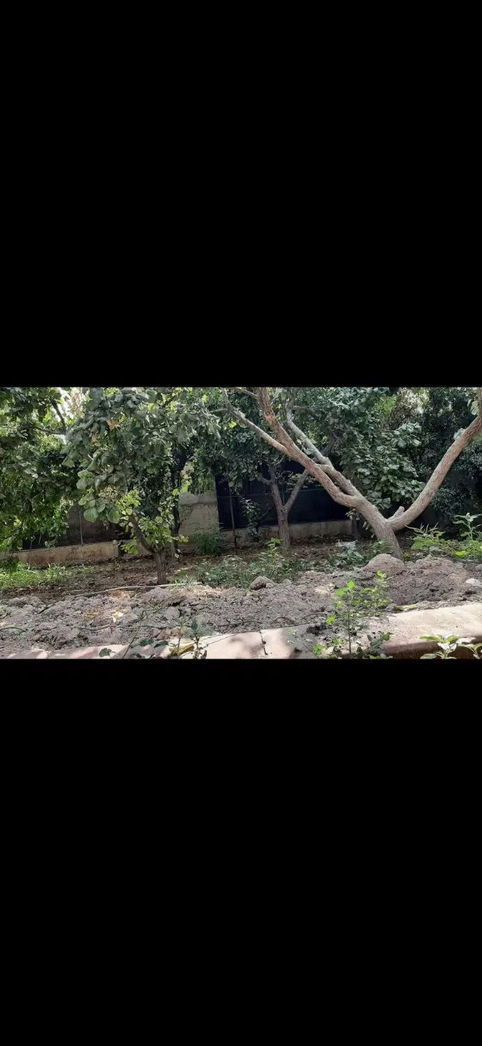 اجاره باغچه