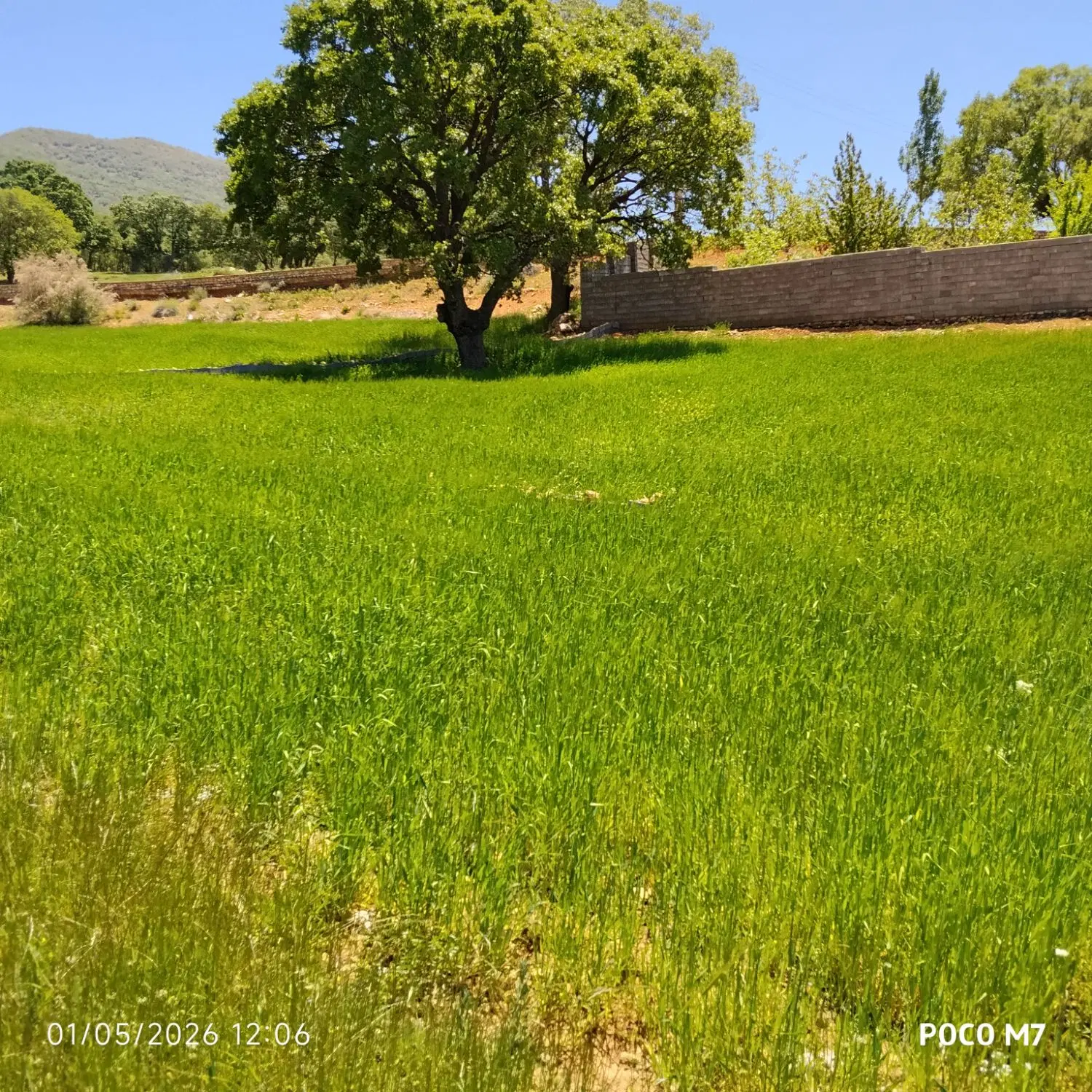 فروش زمین زراعی سند دار فیروزآباد یاسوج